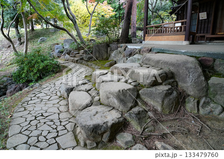 秋の殿ヶ谷戸庭園 秋の殿ヶ谷戸庭園 133479760