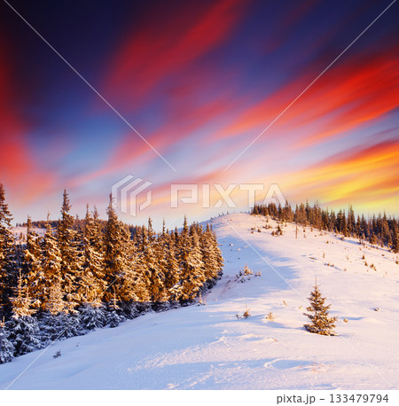 winter landscape 133479794