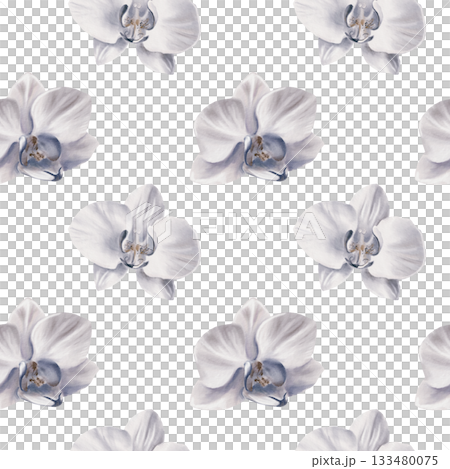 White orchid in a simple seamless pattern,symbolizing tropical vacation,innocence,tenderness, youth. Hand drawn watercolor illustration for backgroud,textile,wrapping papper White orchid in a simple seamless pattern,symbolizing tropical vacation,innocence,tenderness, youth. Hand drawn watercolor illustration for backgroud,textile,wrapping papper 133480075