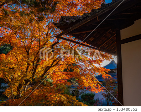 秋色に染る京都の寺院 秋色に染る京都の寺院 133480552