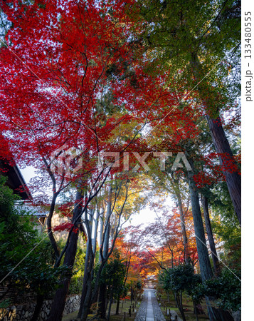 秋色に染る京都の寺院 秋色に染る京都の寺院 133480555
