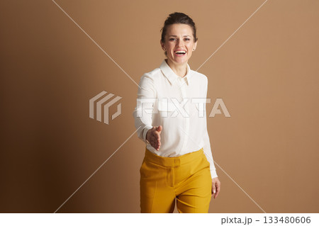 Businesswoman Extending Hand for Handshake 133480606