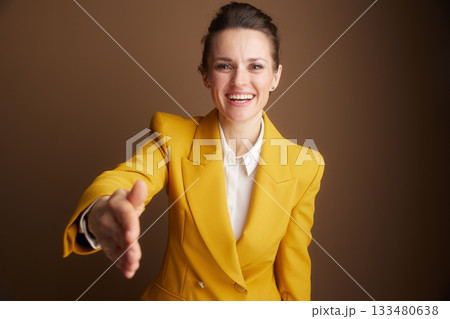Professional Businesswoman Offering a Handshake Professional Businesswoman Offering a Handshake 133480638