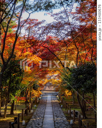 秋色に染る京都の寺院 133480676