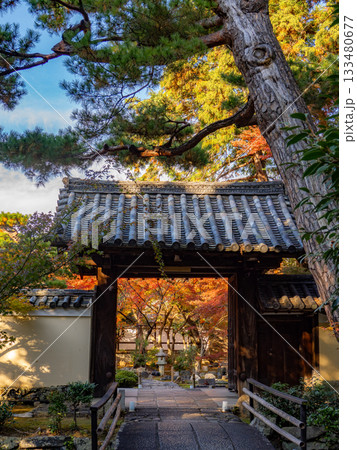 秋色に染る京都の寺院 秋色に染る京都の寺院 133480677