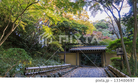 県立大磯城山公園の秋 県立大磯城山公園の秋 133480697
