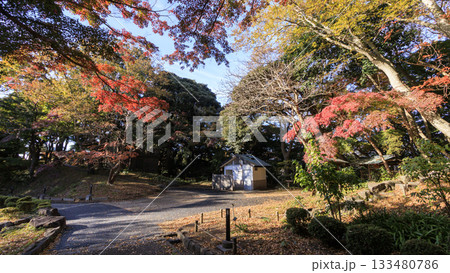 県立大磯城山公園の秋 133480786