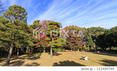 県立大磯城山公園の秋 133480789