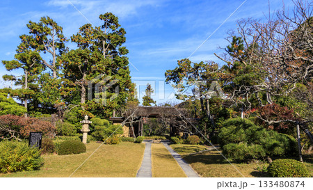 旧吉田茂邸の秋 旧吉田茂邸の秋 133480874