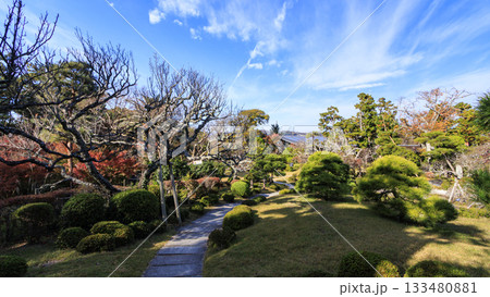 旧吉田茂邸の秋 133480881