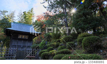 旧吉田茂邸の秋 旧吉田茂邸の秋 133480891