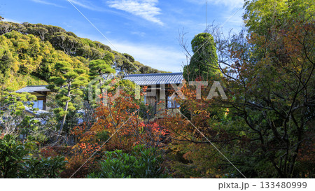 旧吉田茂邸の秋 旧吉田茂邸の秋 133480999