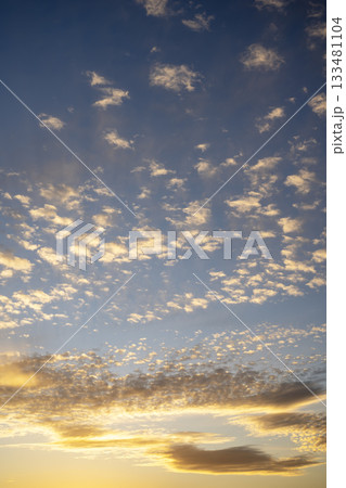 夕焼け 夕暮れ 夕方 秋 空 晴れ 11月 【神奈川県】 133481104