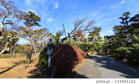 秋の明治記念大磯庭園 秋の明治記念大磯庭園 133481122