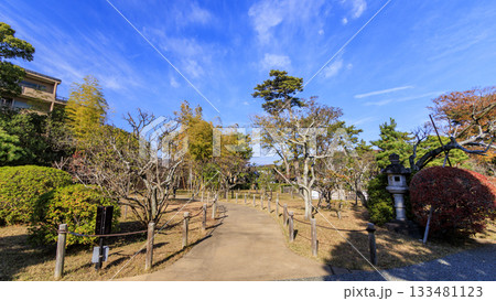 秋の明治記念大磯庭園 133481123