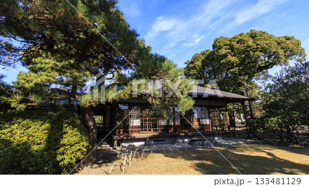 秋の明治記念大磯庭園 秋の明治記念大磯庭園 133481129