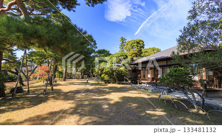 秋の明治記念大磯庭園 133481132