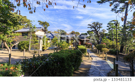 秋の明治記念大磯庭園 秋の明治記念大磯庭園 133481133