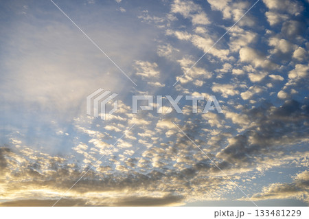 夕焼け 夕暮れ 夕方 秋 空 晴れ 11月 【神奈川県】 夕焼け 夕暮れ 夕方 秋 空 晴れ 11月 【神奈川県】 133481229