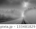 An asphalt road stretching into the distance through a foggy forest.  133481829