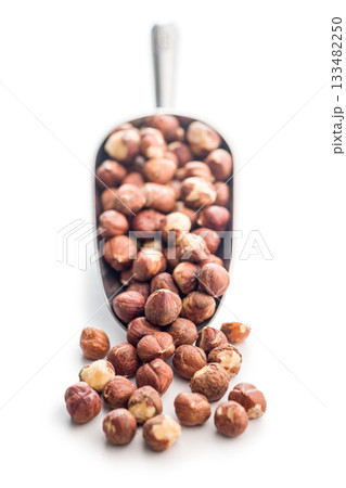 Peeled hazelnut kernels in scoop isolated on white background. 133482250