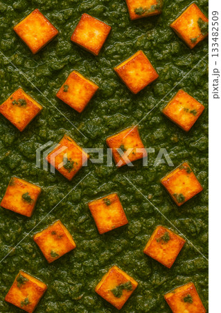 サグパニール(パニールとほうれん草カレー)のテクスチャ サグパニール(パニールとほうれん草カレー)のテクスチャ 133482509