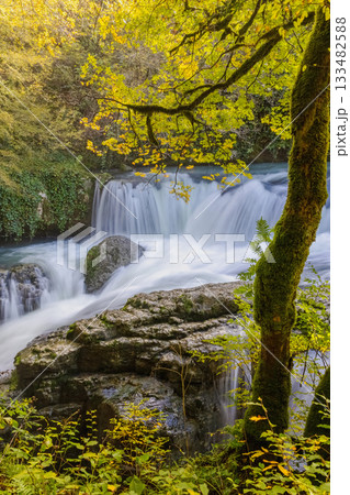 Sunny mountain forest, waterfall on a stormy mountain river Sunny mountain forest, waterfall on a stormy mountain river 133482588