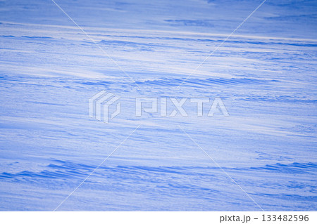 風で風紋が見える日没間近の雪原の寒そうな風景 133482596