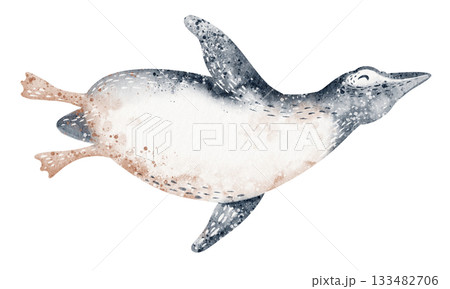Floating Penguin Watercolor Illustration 133482706