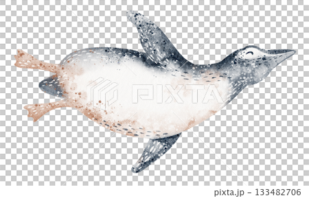 Floating Penguin Watercolor Illustration 133482706