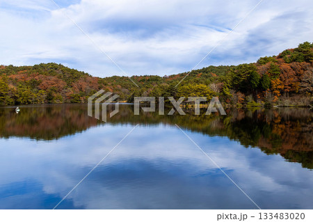 秋のまいめの池 133483020