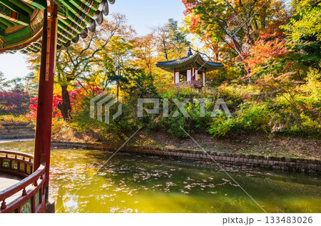 秋のソウル 昌徳宮 後苑 秋のソウル 昌徳宮 後苑 133483026