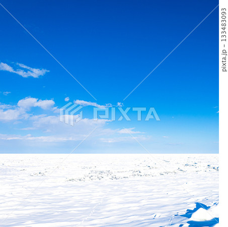 爽快感のある青空と北海道のオホーツク海を埋め尽くした流氷 爽快感のある青空と北海道のオホーツク海を埋め尽くした流氷 133483093