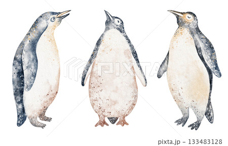 Penguin Group Watercolor Illustration 133483128