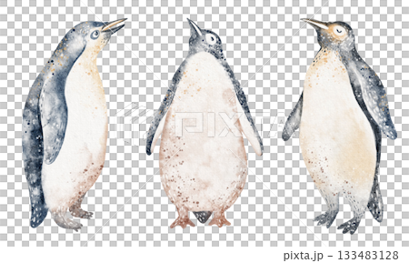 Penguin Group Watercolor Illustration Penguin Group Watercolor Illustration 133483128