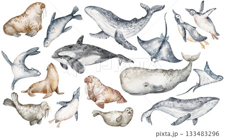 Arctic Animals Watercolor Set Illustration Arctic Animals Watercolor Set Illustration 133483296