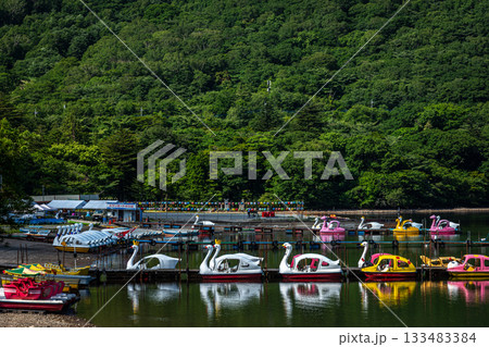 夏の大沼とスワンボート乗り場（群馬県前橋市） 133483384