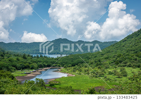 群馬県覚満淵の湿原全景、夏の青空と雄大な積雲の風景 133483425