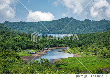 群馬県覚満淵の湿原全景、夏の青空と雄大な積雲の風景 群馬県覚満淵の湿原全景、夏の青空と雄大な積雲の風景 133483427