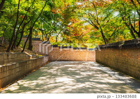 秋のソウル 昌徳宮 後苑 秋のソウル 昌徳宮 後苑 133483688