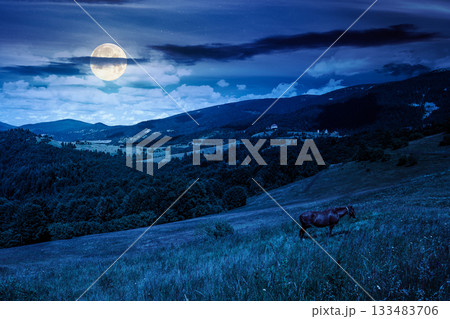 brown horse grazing on lush field at night. serene rural landscape in full moon light. mountains alpine scenery during autumn. backdrop for sustainability fiction art or conservation mystery concepts 133483706