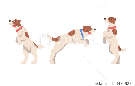Beagle Dog Hound Breed with Brown Marking and Neck Collar Vector Set 133483928