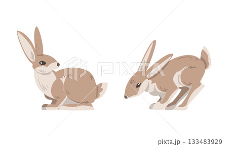 Hare or Jackrabbit as Animal with Long Ears and Grayish Brown Coat in Sitting Pose Vector Set 133483929