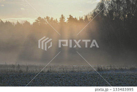 Golden Mist Rays Over Winter Fields in Latvia Golden Mist Rays Over Winter Fields in Latvia 133483995
