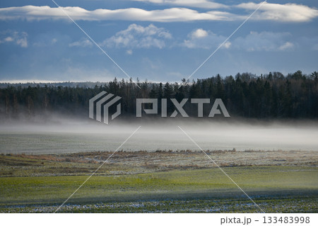 Wide Winter Fields Covered in Morning Mist 133483998