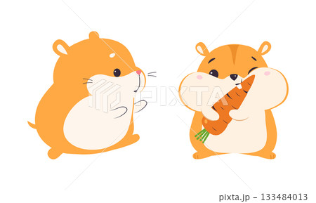 Cute Hamster Character with Stout Body Walking and Eating Carrot Vector Set Cute Hamster Character with Stout Body Walking and Eating Carrot Vector Set 133484013