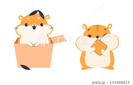 Cute Hamster Character with Stout Body Eating Cookie and Peeking from Cardboard Box Vector Set Cute Hamster Character with Stout Body Eating Cookie and Peeking from Cardboard Box Vector Set 133484015