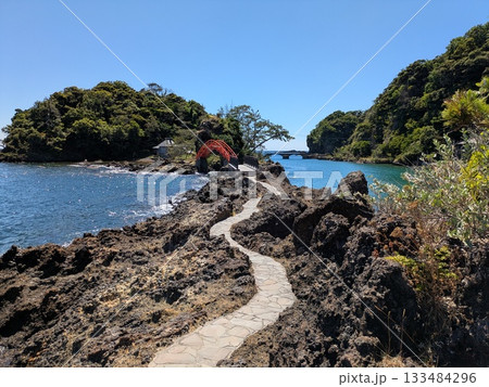 浜に打ち上げられた流木 133484296