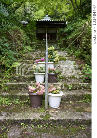 池田市のお寺の風景 133484447