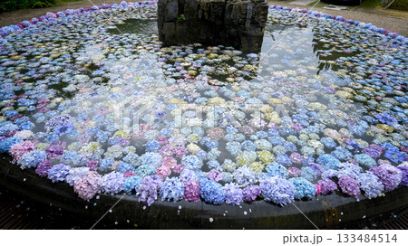 池田市のお寺の風景 133484514